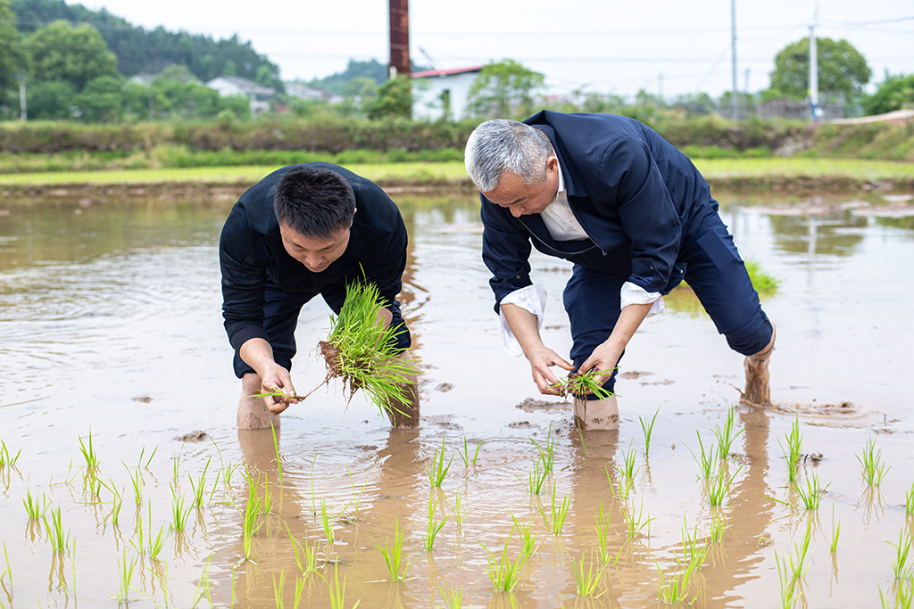 主题党日创新意 田间地头闹春耕 主题党日创新意 田间地头闹春耕