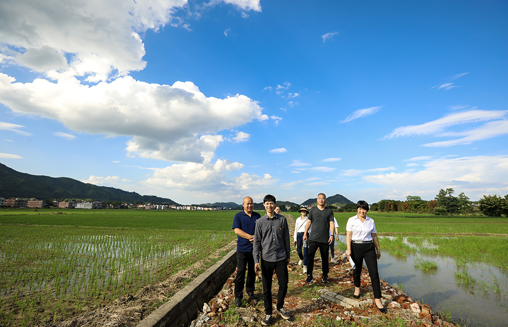 主题教育开新篇 党建联盟受点赞 ——衡阳幼儿师专机关第五党支部主题党日活动助力乡村振兴侧记 主题教育开新篇 党建联盟受点赞 ——衡阳幼儿师专机关第五党支部主题党日活动助力乡村振兴侧记
